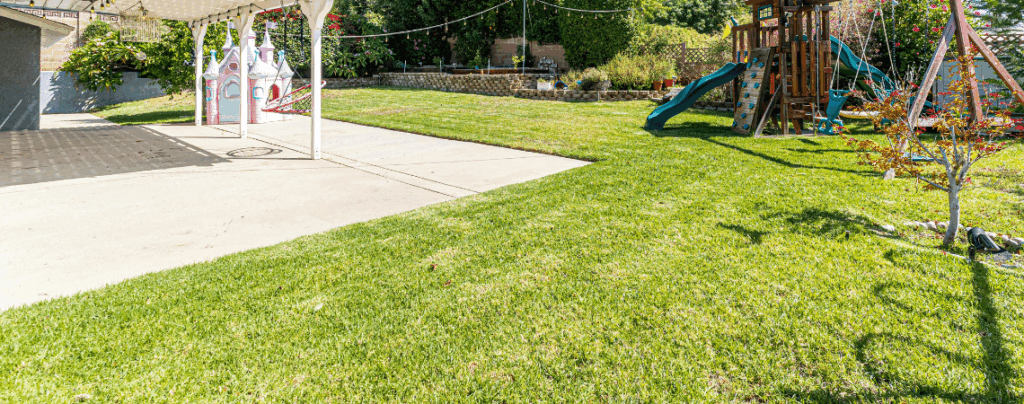 turf installation phoenix